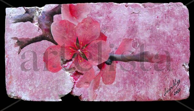 Almendro rosa Oil Others Floral Painting