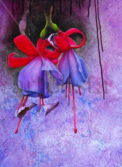 Fucsias Oil Others Floral Painting