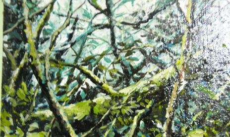 tramas de bosque