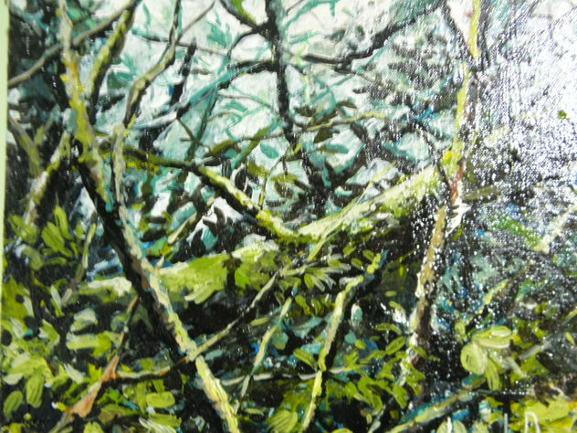 trama de bosque 1