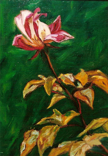 LA ROSA Oil Canvas Floral Painting