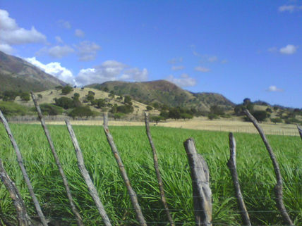 Aires de salud
