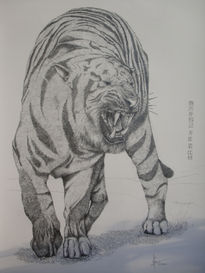 El Tigre de Yping