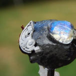 serendipity thumbnail 1