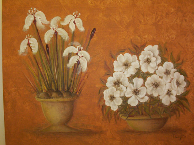 Flores blancas en fonde naranja Oil Canvas Floral Painting