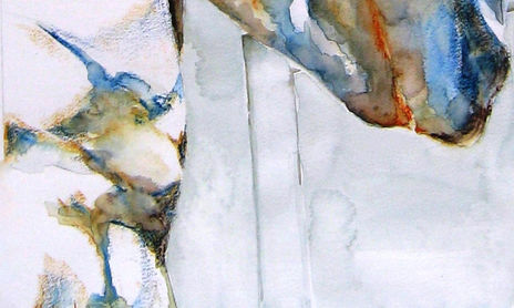 Anatomía artística