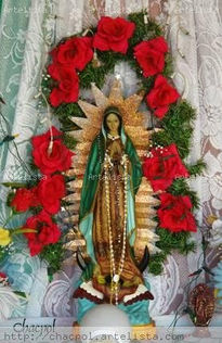 Guadalupe 042