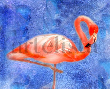 Latidos en rosa