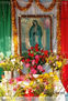 Guadalupe 034