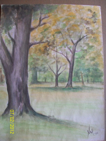 Parque