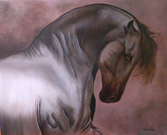 Caballo de paso Oil Canvas Animals