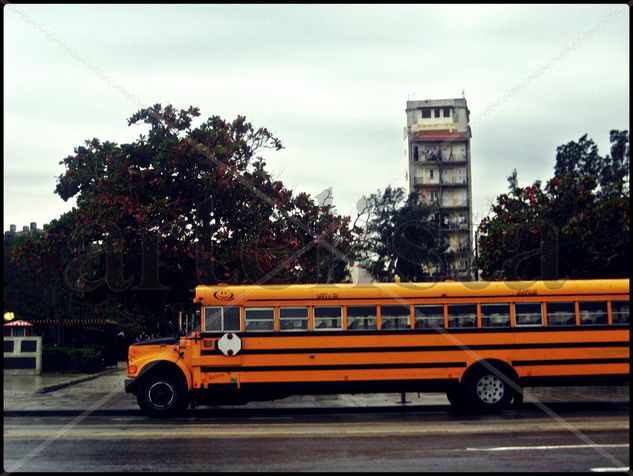 Bus Escolar Viajes Color (Digital)