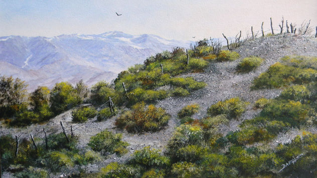 cercando la loma