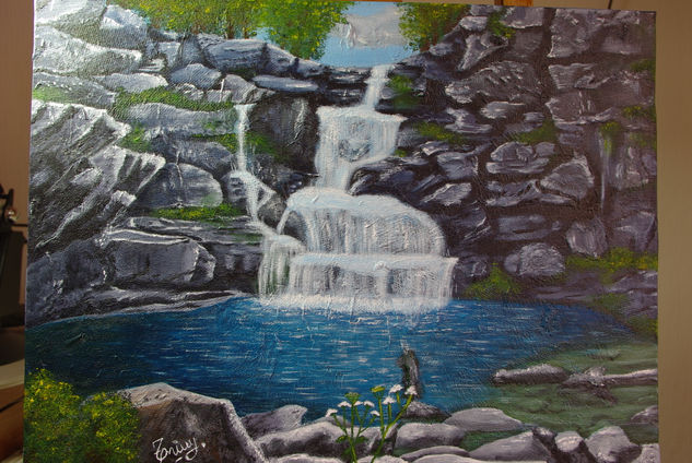 Cascada Acrylic Canvas Landscaping