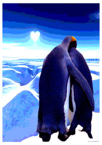 Pingüinos enamorados