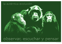 La autentica evolución