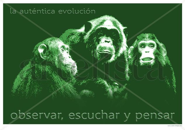 LA AUTENTICA EVOLUCIÓN 