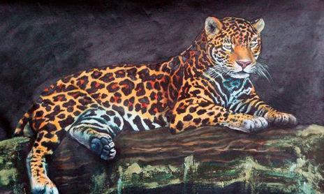 fauna salvaje