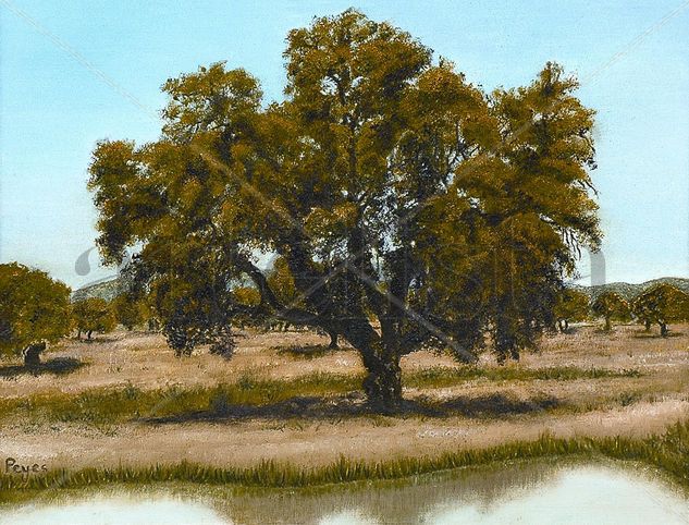 Alcornoque Oil Canvas Landscaping