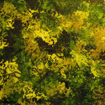 ABSTRACTOS thumbnail 2