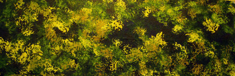 Abstracto 6