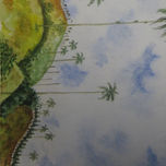 PALMA DE CERA thumbnail 1
