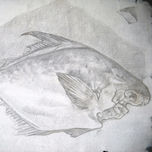 Dibujos. thumbnail 1
