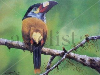 PAPAGAYO Oil Canvas Animals