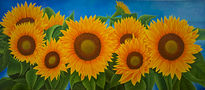 Girasoles