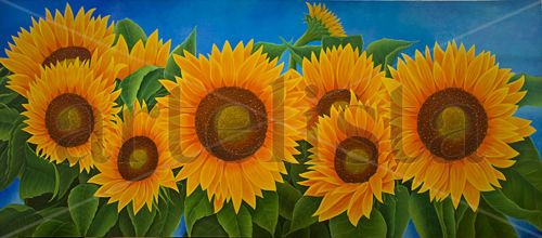 GIRASOLES Oil Canvas Floral Painting