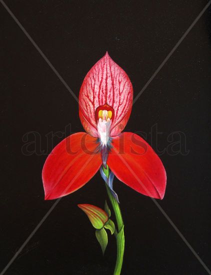 23-ORQUIDEA Oil Panel Floral Painting