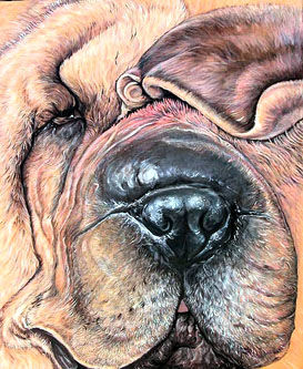 amorfis canis (serie)