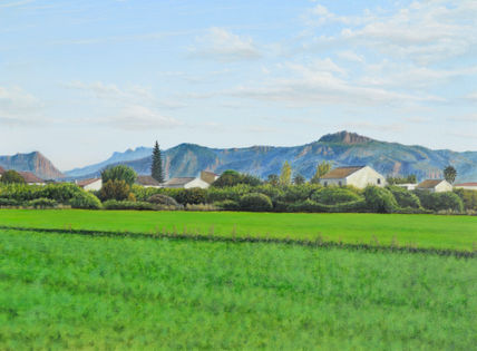 Campo de alfalfa