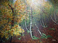 PAISAJE