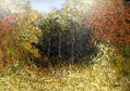 BOSQUE ESCONDIDO