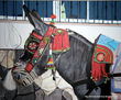 PLATERO