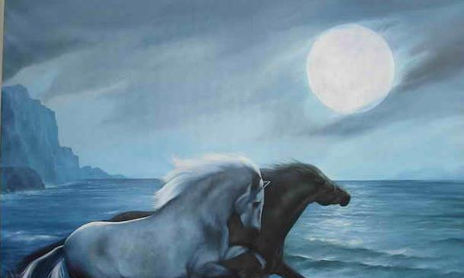 caballos