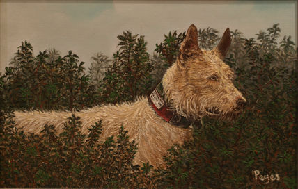 Podenco