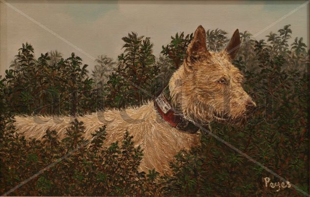 Podenco Oil Canvas Landscaping