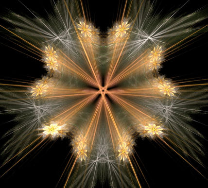 Mandala de flores