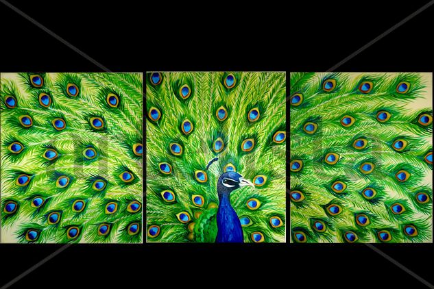 Pavo real Oil Canvas Animals