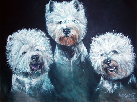 Grupo de westies