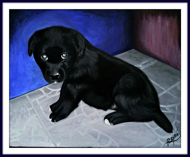 ROSCO