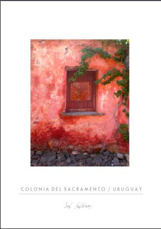 Puertas 11