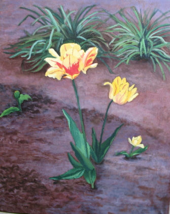 Flores Oil Canvas Floral Painting