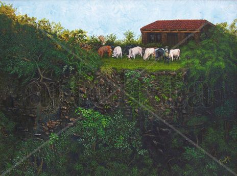 Barranca y vacas