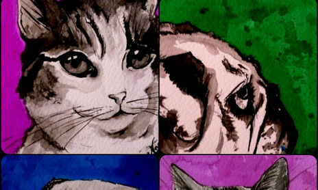 Animaladas