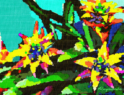 Bromelia