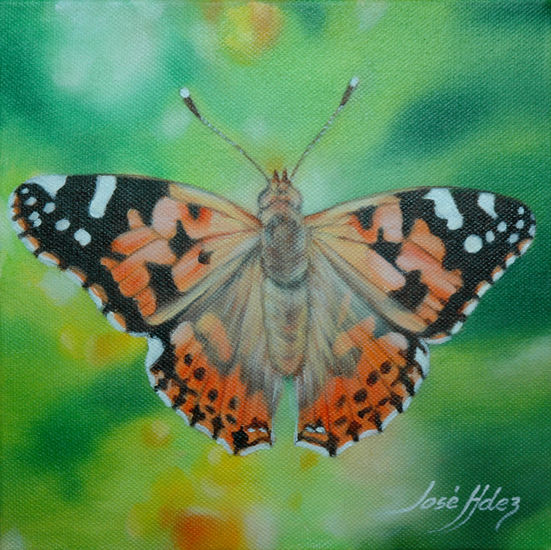 MARIPOSA II Oil Canvas Animals