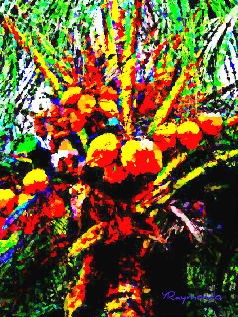 Palmera con pipas